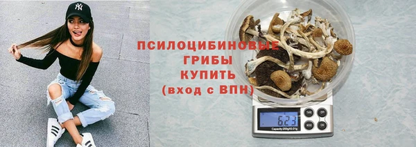 гидропоника Балахна