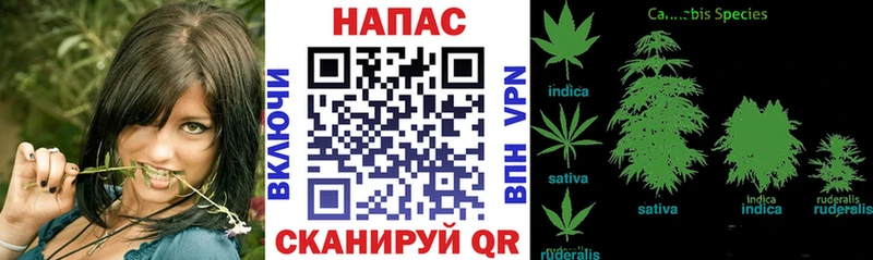 МАРИХУАНА тримм  Малмыж 